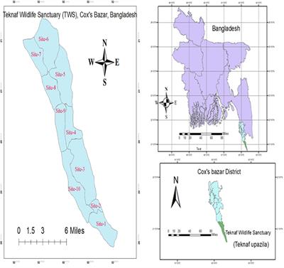 A case study on conflict intensity between humans and elephants at Teknaf Wildlife Sanctuary, Cox’s Bazar, Bangladesh